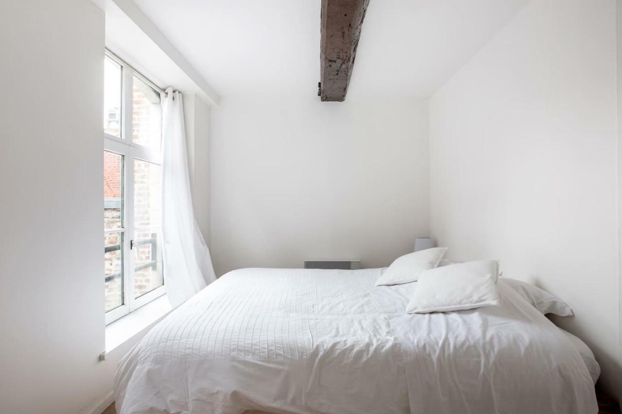 Les 3 Mollettes Du Vieux Lille Apartment Bagian luar foto